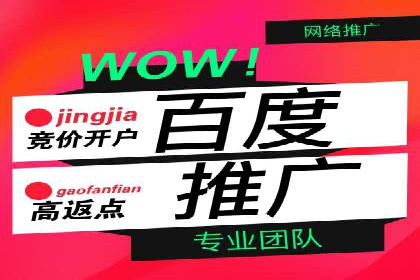 不同平台的SEM广告投放比较及成功案例分析
